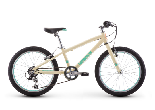 Diamondback 20 inch clearance bike