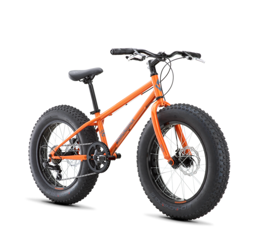 Diamondback El Oso Nino 20 Kids Bike